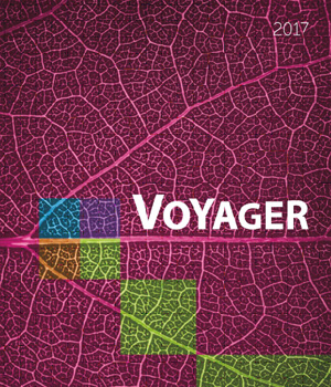 Catalog Voyager 2017